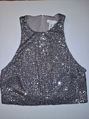 H&M Silver Sequin Crop Top